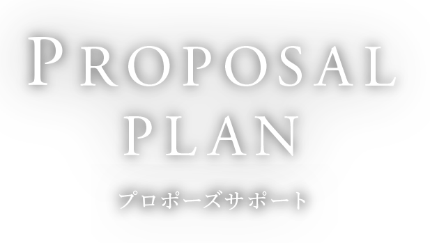 PROPOSAL PLAN proposal support